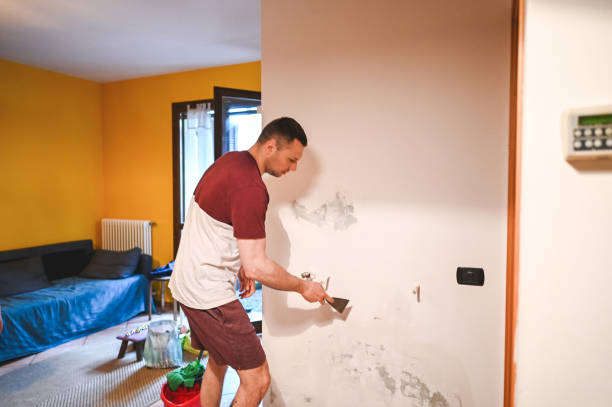 Best Commercial Mold Removal  in Sackets Harbor, NY