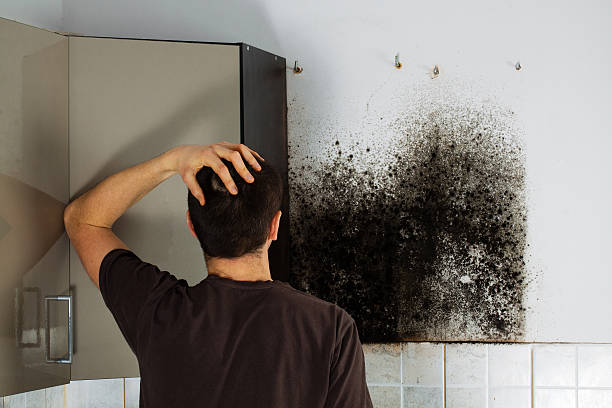 Best Crawl Space Mold Removal  in Sackets Harbor, NY