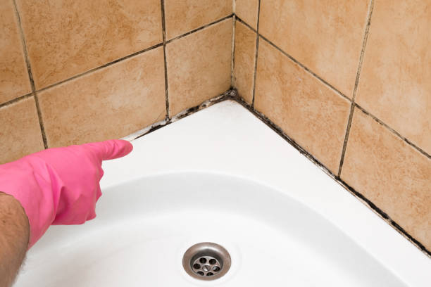 Best Office Mold Removal Services  in Sackets Harbor, NY